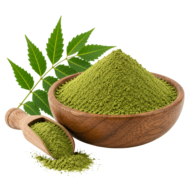 Polvo de hoja de neem